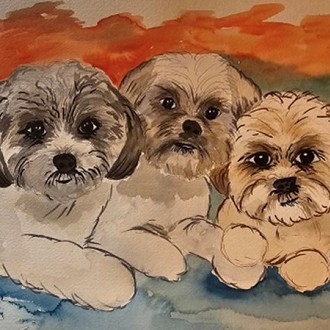 Cindy Sarkady’s Illustration