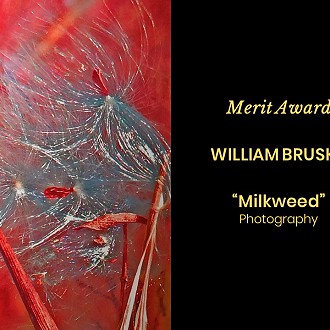 Merit Award to William Brusky for “Milkweed” photography. Judge Patrick’s Comment: Although recognizable, this altered image suggests rethinking how we view the familiar.