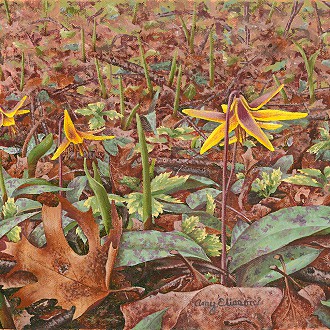 Hope Blooms by Amy Eliason