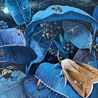 by Kristin Gjerdset