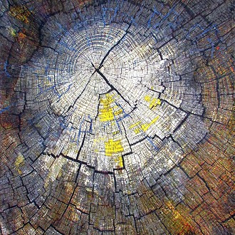 Line Dance, Tree Ring Patterns, Var. 13 by Barbara Schneider