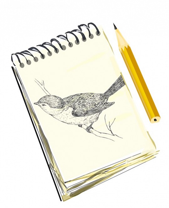 Beginning Drawing for Ages 16+